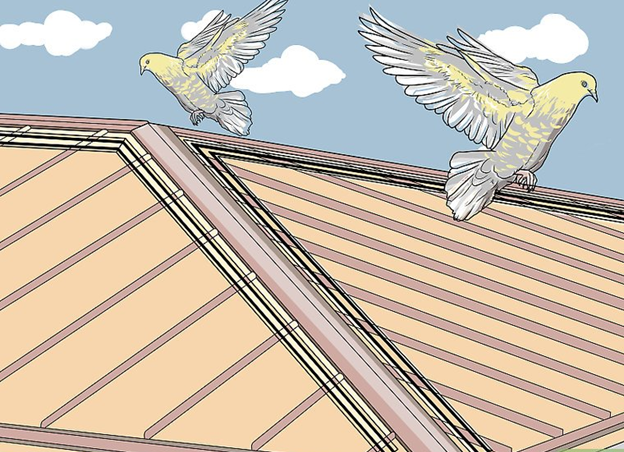 Lắp miếng đệm