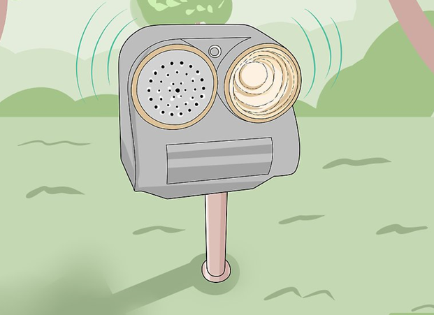 Thiết bị tạo sóng âm